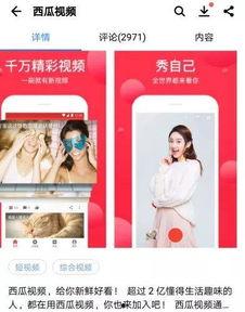 西瓜和头条直播的区别,内容生态与直播模式的差异化解析
