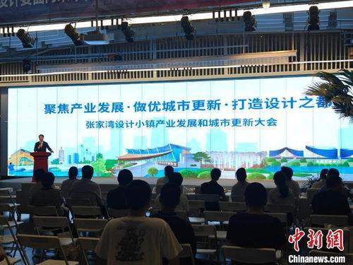延川张家湾新闻头条,聚焦乡村振兴，共绘美好家园新画卷